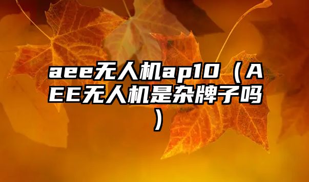 aee無(wú)人機(jī)ap10（AEE無(wú)人機(jī)是雜牌子嗎）